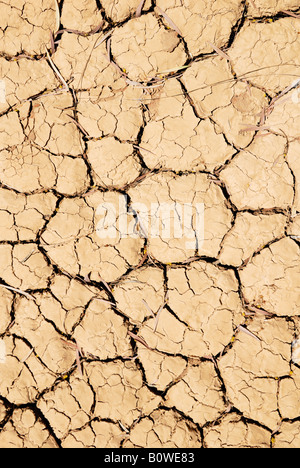 Fissures de dessiccation dans un lit du ruisseau sans eau le long de la route Titre, Territoire du Nord, Australie Banque D'Images