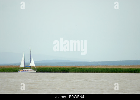 Bateau à voile sur le lac de Neusiedl, Burgenland, Autriche Banque D'Images