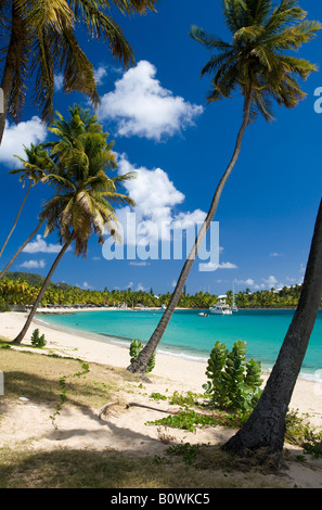 Morris Bay, Antigua, Antilles Banque D'Images