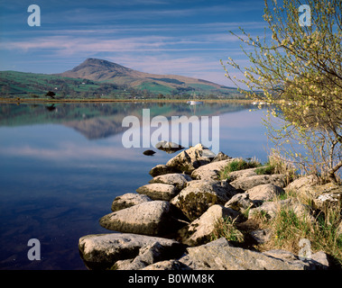 Abrie reflété dans le lac Bala au lever du soleil. Le Parc National de Snowdonia. Le Pays de Galles. Banque D'Images