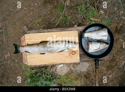 Un poisson mort dans une poêle et un sur un bloc de bois Banque D'Images