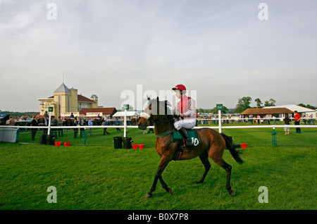 L'anneau de Parade et vainqueur s'Enceinte Hippodrome de Towcester Banque D'Images