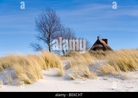 Maison avec des dunes de sable, de l'Allemagne, de Mecklembourg-Poméranie-Occidentale, Ostseebad Wustrow Banque D'Images