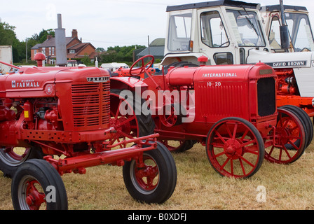 Vieux McCormick Farmall et David Brown International tracteurs de ferme à Smallwood Vintage Rally Cheshire England Royaume-Uni UK Banque D'Images