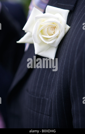 Bouton rose sur une combinaison mans Banque D'Images