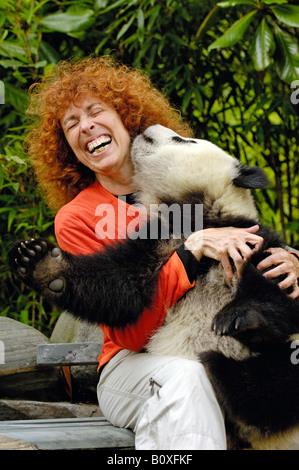 Panda géant (Ailuropoda melanoleuca). Laughing woman tourist de câliner bébé Panda qui est en train de lécher son oreille Banque D'Images