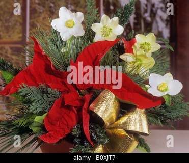 Bouquet : roses de Noël avec poinsettia Banque D'Images