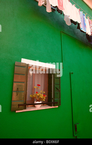 Fleurs affiché sur appui de fenêtre d'une maison colorée avec pendaison blanchisserie sèche sur l'île de Burano Lagune de Venise Italie Banque D'Images