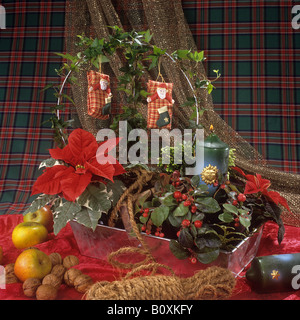 Arrangement de Noël dans un bol Banque D'Images