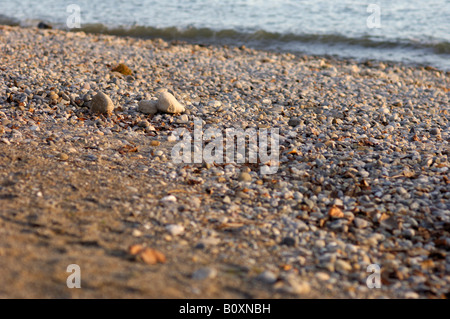 Allemagne, Lac de Constance, à Immenstaad, galets au bord du lac Banque D'Images