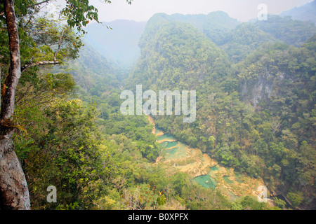 Semuc Champey au Guatemala Banque D'Images