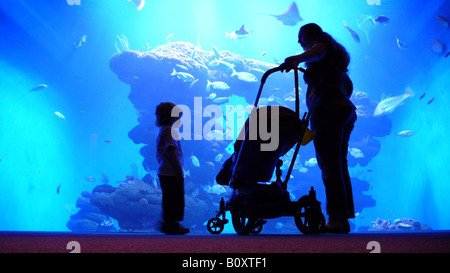 Mère avec des enfants et en face de l'aquarium de buggy Banque D'Images