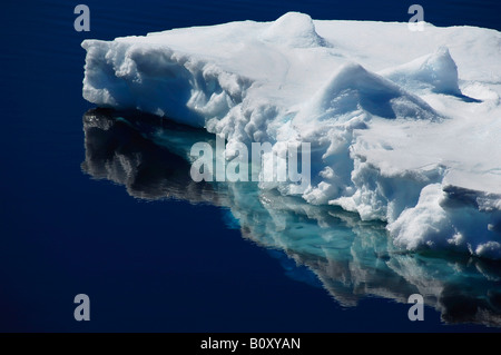 Belle banquise se reflétant dans les eaux de l'antarctique antarctique, calme, Suedpolarmeer Weddellmeer, Banque D'Images