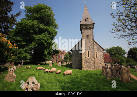 United Kingdom West Sussex south stoke Saint leonards church Banque D'Images