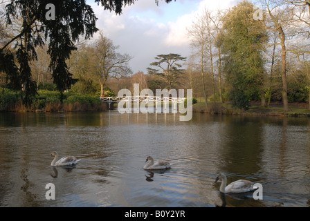 Le lac et le pont chinois à Painshill Park dans le Surrey Banque D'Images