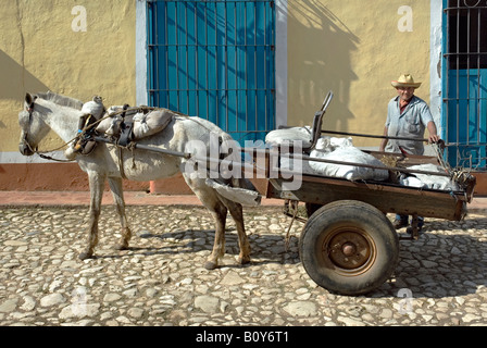 L'homme à cheval et panier à Trinidad, Cuba Banque D'Images
