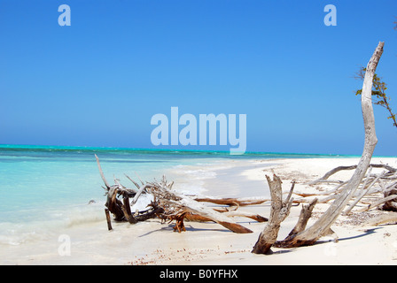 Cayo Levisa l'une des meilleures plages dans le nord de Pinar del Rio Cuba Banque D'Images