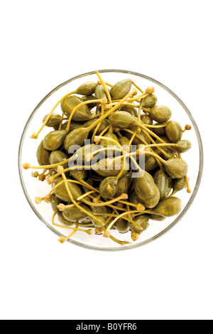 Caper fruits (Capparis spinosa) dans un bol, elevated view Banque D'Images