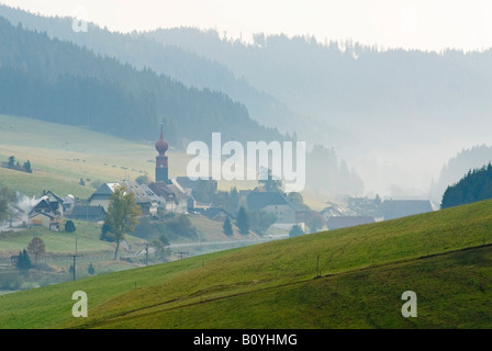 Allemagne, forêt noire, matin brouillard près de Urach Banque D'Images