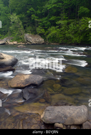 Grande Fourche sud de la rivière Cumberland, Big South Fork River National Recreation Area et, New York Banque D'Images