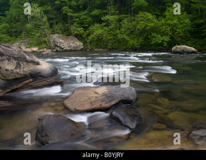 Grande Fourche sud de la rivière Cumberland, Big South Fork River National Recreation Area et, New York Banque D'Images