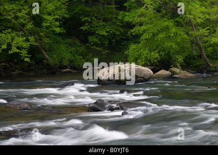 Grande Fourche sud de la rivière Cumberland, Big South Fork River National Recreation Area et, New York Banque D'Images