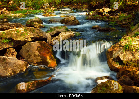 Beau paysage d'une cascade de la rivière sur les rochers en pleine nature Banque D'Images