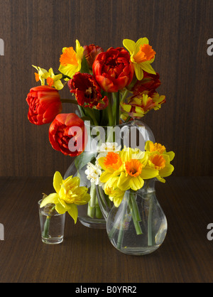 Les jonquilles et tulipes dans un vase Banque D'Images