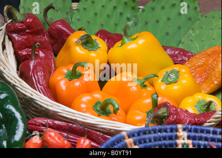 Rouge, Jaune, Orange Poivrons dans center panier avec Pablano green chili Habanero et piments. Banque D'Images