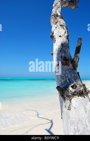 Cayo Levisa l'une des meilleures plages dans le nord de Pinar del Rio Cuba Banque D'Images