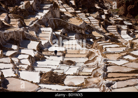 Salines de Maras sur une montagne au-dessus de la ville de Urubamba au Pérou Banque D'Images