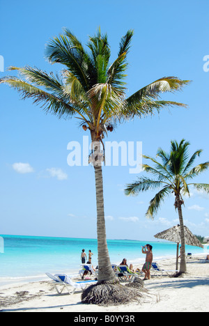 Cayo Levisa l'une des meilleures plages dans le nord de Pinar del Rio Cuba Banque D'Images