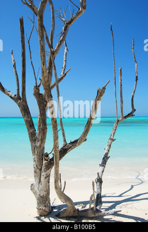 Cayo Levisa l'une des meilleures plages dans le nord de Pinar del Rio Cuba Banque D'Images