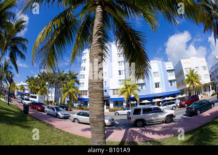 Immeubles et commerces dans la région de South Beach, Miami Beach, Floride Banque D'Images