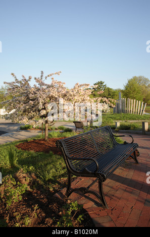 Squamscott River dans le centre-ville d'Exeter, New Hampshire, USA Banque D'Images