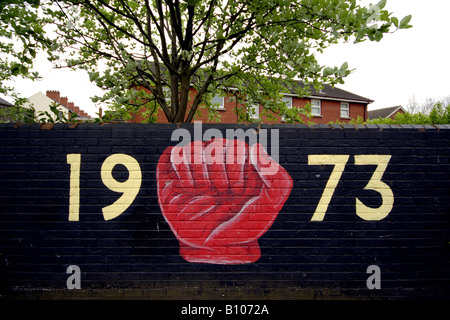 Partie de fresque murale représentant l'organisation loyaliste dans l'Est de l'Irlande du Nord Belfast Banque D'Images