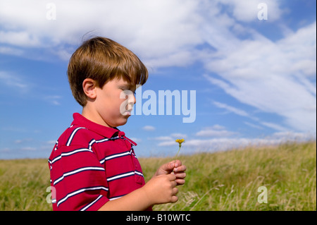 Un jeune garçon dans une chemise rouge à la recherche lors d'une fleur qu'il s cueillies dans un pré sur une journée ensoleillée Banque D'Images