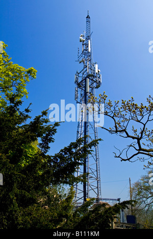 Mât de télécommunication en bois avec ciel bleu derrière Banque D'Images