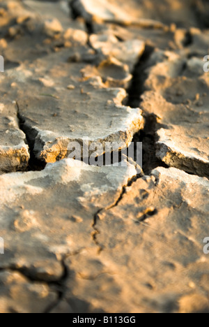 Gros plan de terre fissurée et séchée montrant des fissures profondes et la texture du sol desséché dans la lumière chaude du soir. Banque D'Images
