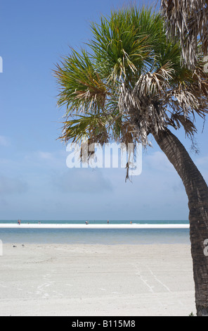 Fort DeSoto Park, Floride, mai 2008 : amateurs de calme bénéficiant d'une journée ensoleillée sur le sable blanc de la Plage Nord. Banque D'Images