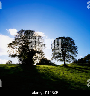 Co Armagh Navan Fort, Irlande Banque D'Images