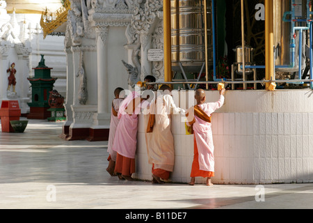 Des religieuses en Paya Shwedagon, Yangon, Myanmar (Birmanie) Banque D'Images