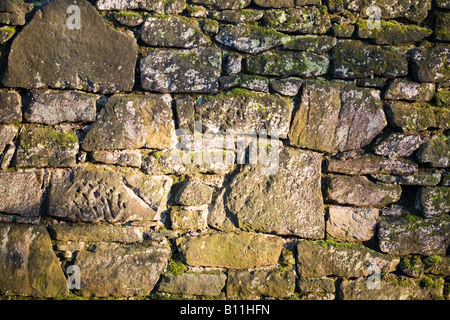 Mur de grès décombres aléatoires ou de lichen Banque D'Images