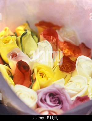 BOUQUET DE ROSES Banque D'Images