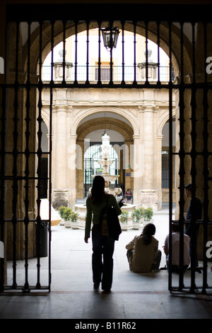 Courtyard gate, Université de Séville (ancienne fabrique de tabac), Espagne Banque D'Images