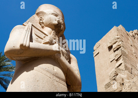 Colosse à l'entrée de la Cité parlementaire d'Amon, Temple de Karnak, Louxor, vallée du Nil, l'Egypte Banque D'Images