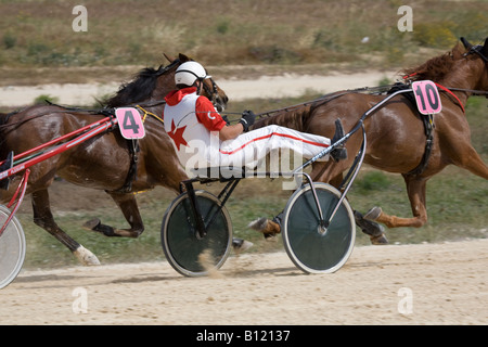 Course de sable et de cendre à Marsa racetrack, Trotters, les courses de chevaux, les courses de trot au Racing Club, hippodrome Rue, Marsa, Malte. Banque D'Images