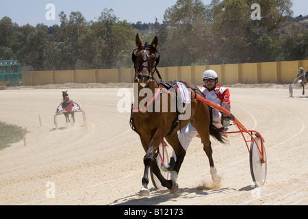 Course de sable et de cendre à Marsa racetrack, Trotters, les courses de chevaux, les courses de trot au Racing Club, hippodrome Rue, Marsa, Malte. Banque D'Images