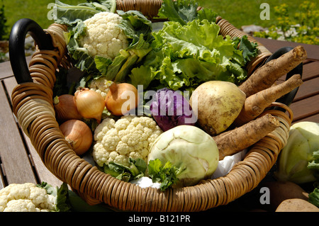Affichage des légumes cultivés accueil England UK Banque D'Images
