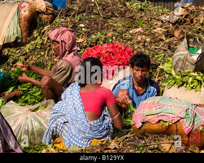 Les vendeurs de fleurs et plantes dans le marché à Kolkata en Inde Banque D'Images